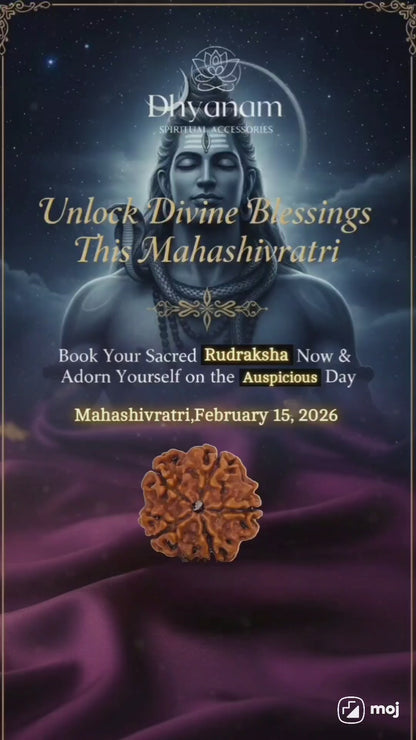 5 Mukhi Siddha Nepali Rudraksha🙏🏻🌸