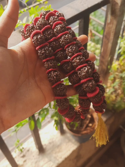 5 Mukhi Nepali Siddha Rudraksha Kantha 54 beads📿🌸