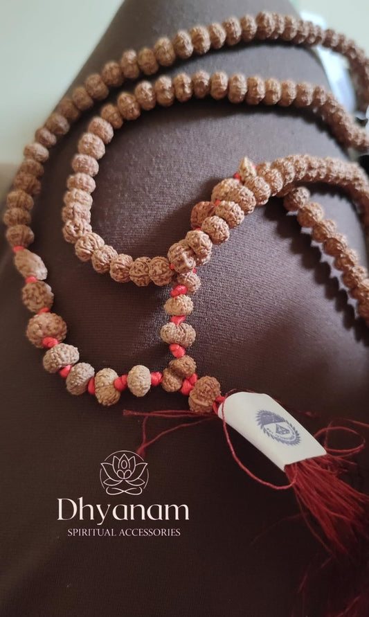 1-14 Mukhi Siddha Rudraksha Mala With Gauri Shankar & Ganesh Rudraksha
