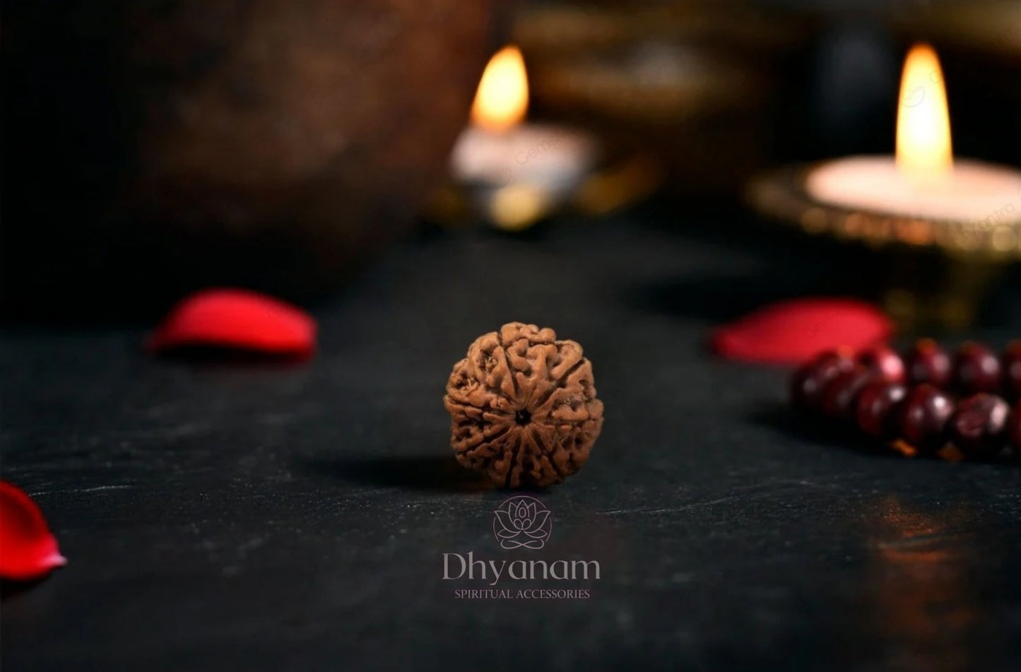 Authentic Nepali 7 Mukhi Rudraksha✨️📿