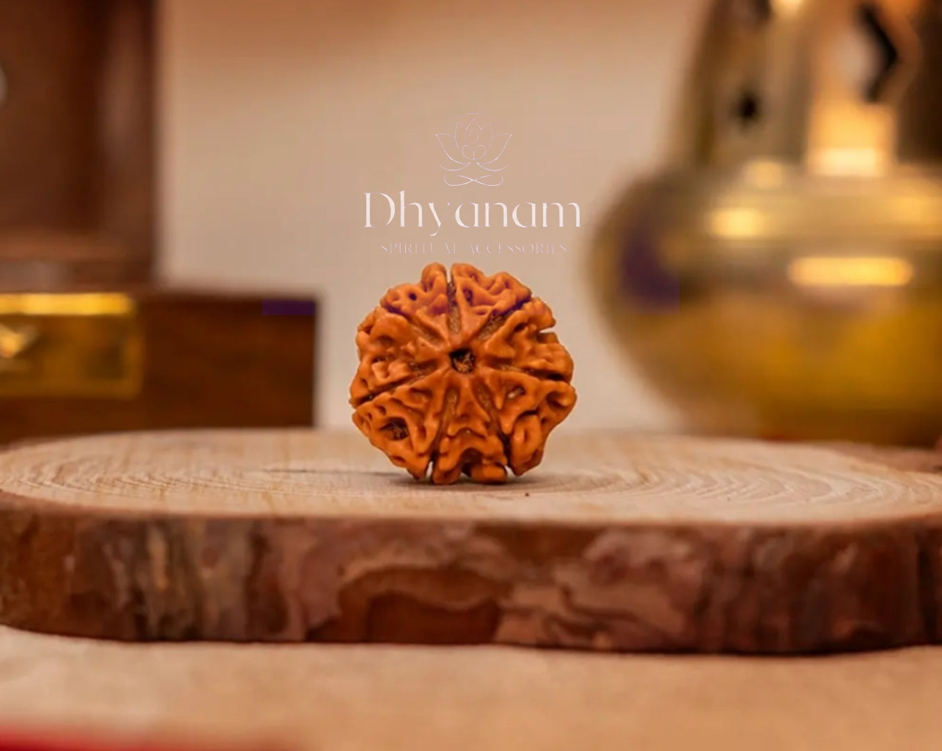 Authentic Nepali 7 Mukhi Rudraksha✨️📿